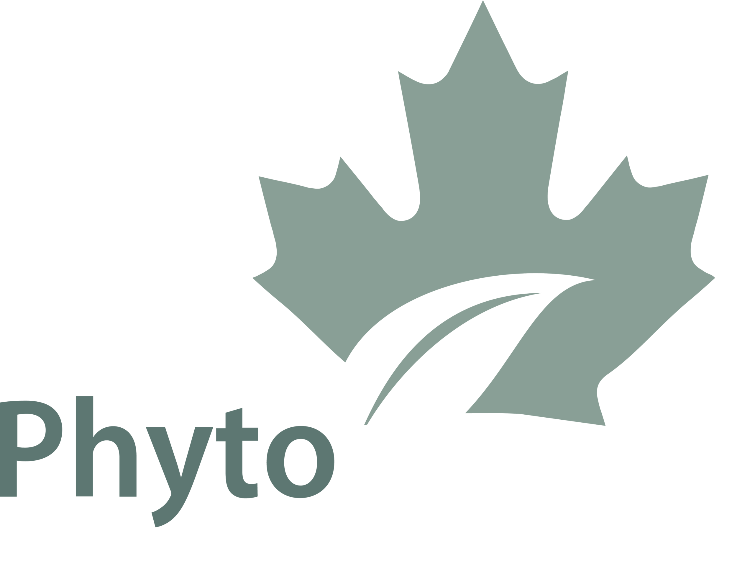 Phytokana Logo Ingredients Inc White